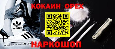 сатива Кингисепп