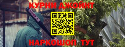 сатива Кингисепп
