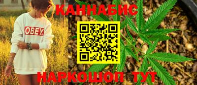 сатива Кингисепп