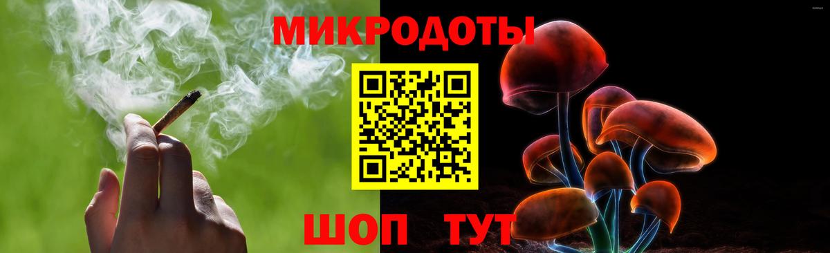 Псилоцибиновые грибы мицелий Лесной