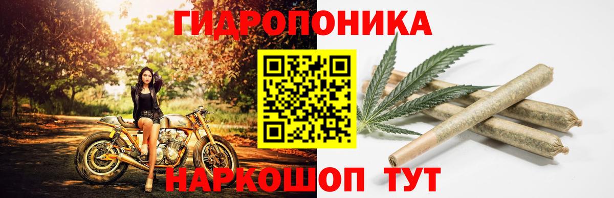 Codein Лесной